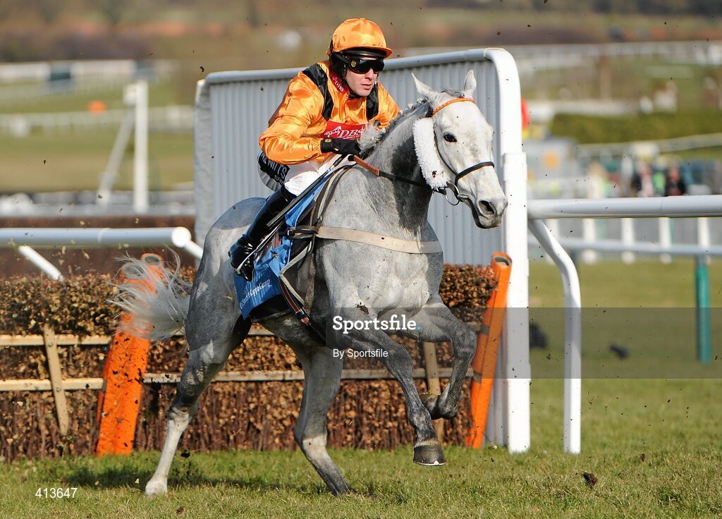 16 March 2010; Zaynar, with Andrew Tinkler up, during the Smurfit Kappa Champion Hurdle Challenge Trophy. Cheltenham Racing Festival - Tuesday. Prestbury Park, Cheltenham, Gloucestershire, England. Photo by Sportsfile