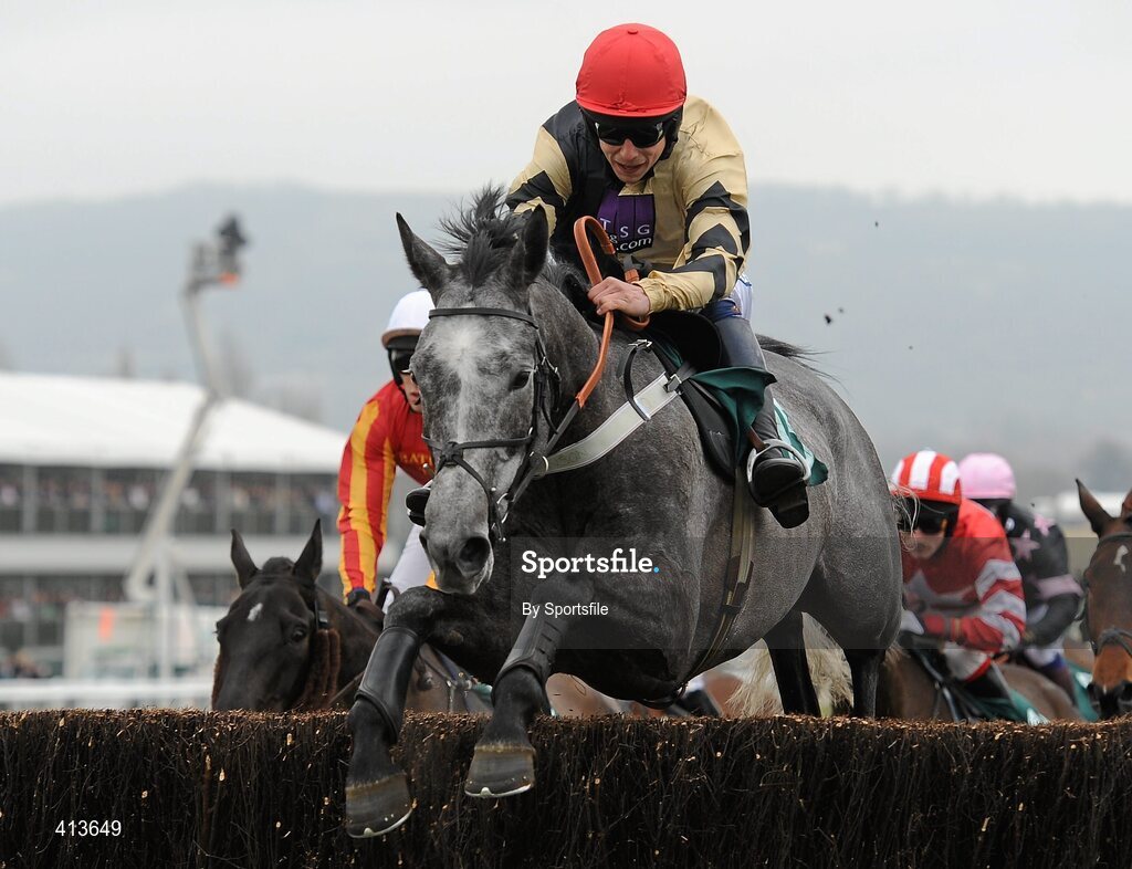 17 March 2010; Presenting Forever, with Oliver Greenall up, during the 140th Year Of The National Hunt Chase Challenge Cup. Cheltenham Racing Festival - Wednesday. Prestbury Park, Cheltenham, Gloucestershire, England. Photo by Sportsfile
