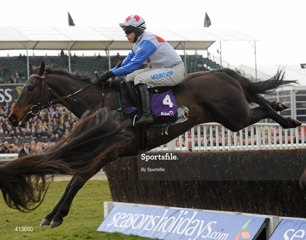 17 March 2010; Diamond Harry, with Timmy Murphy up, during the RSA Chase. Cheltenham Racing Festival - Wednesday. Prestbury Park, Cheltenham, Gloucestershire, England. Photo by Sportsfile