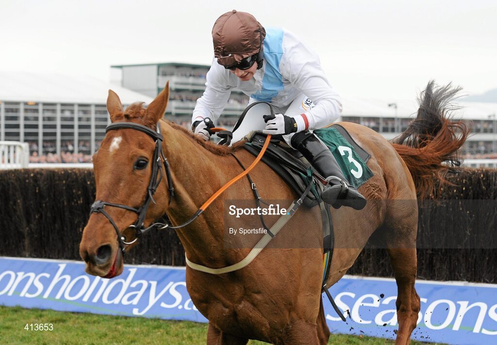 17 March 2010; Becauseicouldntsee, with Nina Carberry up, on their way to winning the 140th Year Of The National Hunt Chase Challenge Cup. Cheltenham Racing Festival - Wednesday. Prestbury Park, Cheltenham, Gloucestershire, England. Photo by Sportsfile