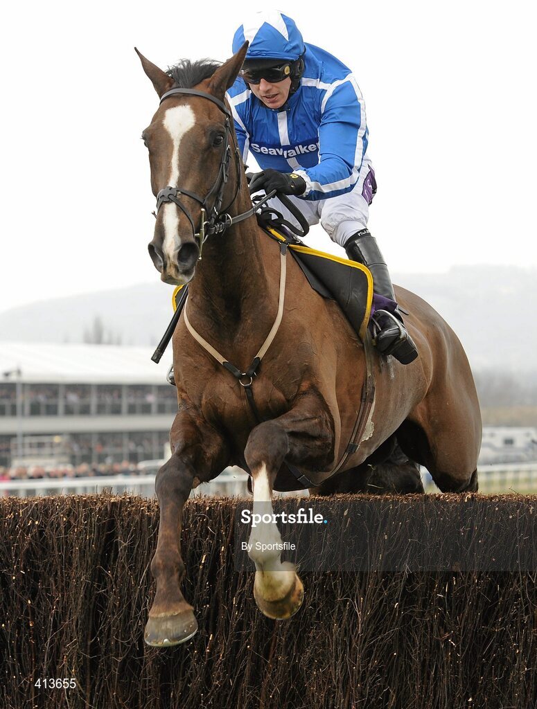17 March 2010; Little Josh, with Paddy Brennan up, during the RSA Chase. Cheltenham Racing Festival - Wednesday. Prestbury Park, Cheltenham, Gloucestershire, England. Photo by Sportsfile