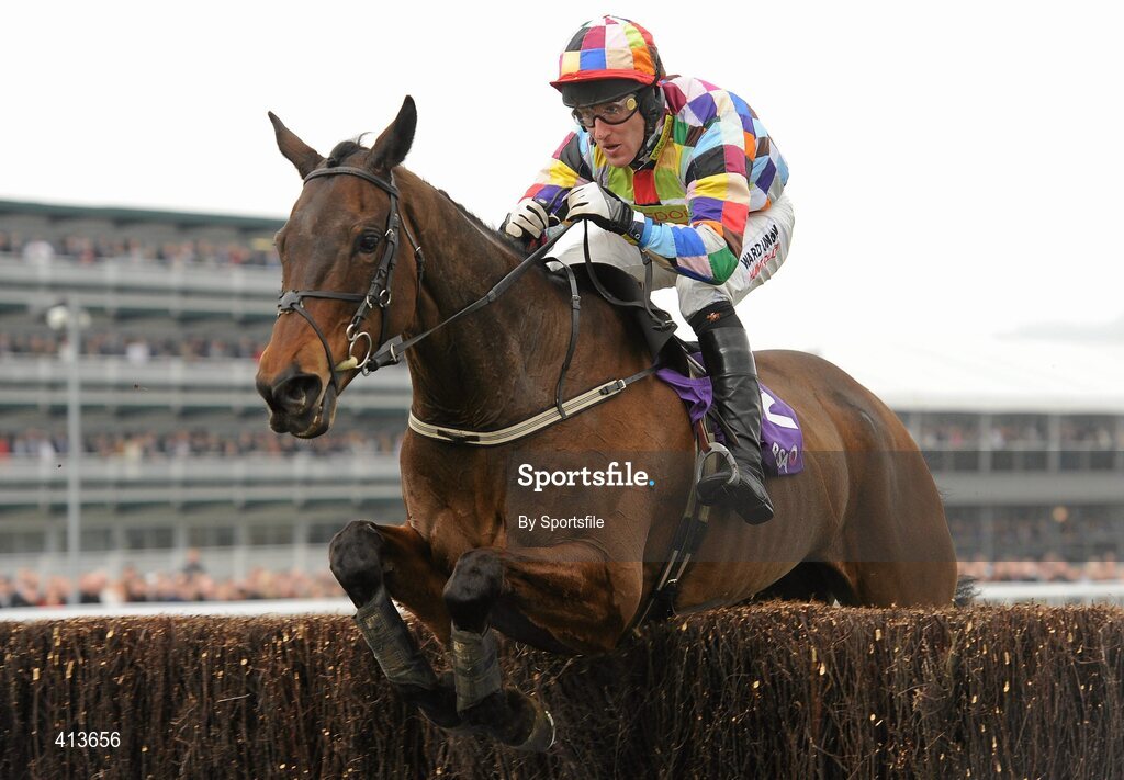 17 March 2010; Chasing Cars, with Robert Power up, during the RSA Chase. Cheltenham Racing Festival - Wednesday. Prestbury Park, Cheltenham, Gloucestershire, England. Photo by Sportsfile