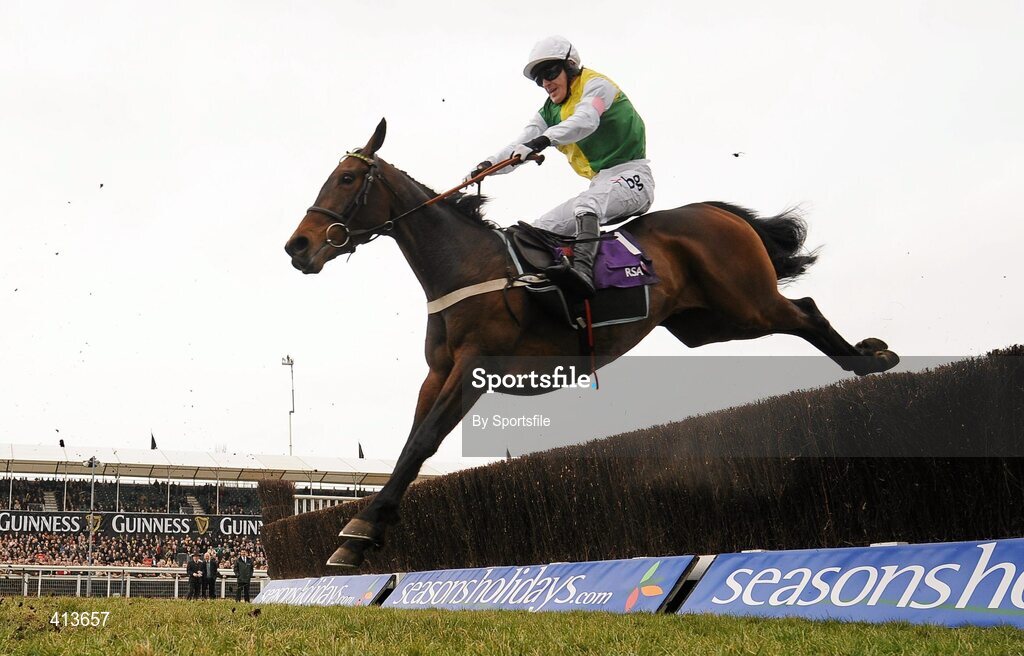 17 March 2010; Burton Port with Tony McCoy up, during the RSA Chase. Cheltenham Racing Festival - Wednesday. Prestbury Park, Cheltenham, Gloucestershire, England. Photo by Sportsfile