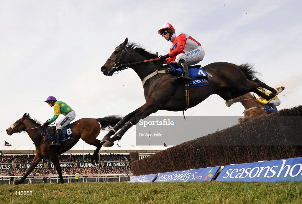 17 March 2010; Kalahari King, with Graham lee up, during the Seasons Holidays Queen Mother Champion Chase. Cheltenham Racing Festival - Wednesday. Prestbury Park, Cheltenham, Gloucestershire, England. Photo by Sportsfile