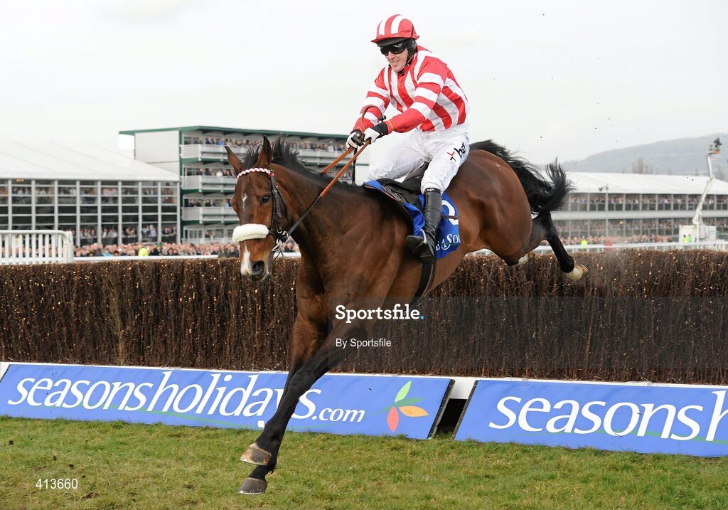 17 March 2010; Forpaddytheplasterer, with Tony McCoy up, during the Seasons Holidays Queen Mother Champion Chase. Cheltenham Racing Festival - Wednesday. Prestbury Park, Cheltenham, Gloucestershire, England. Photo by Sportsfile