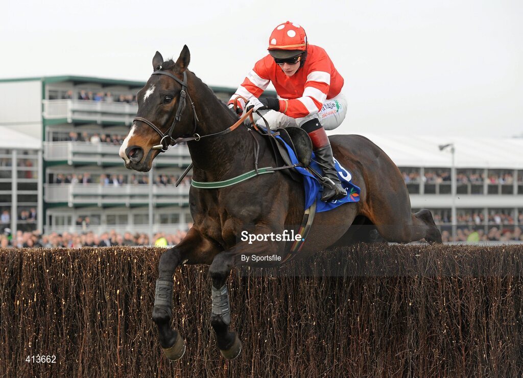 17 March 2010; Golden Silver, with Paul Townend up, during the Seasons Holidays Queen Mother Champion Chase. Cheltenham Racing Festival - Wednesday. Prestbury Park, Cheltenham, Gloucestershire, England. Photo by Sportsfile