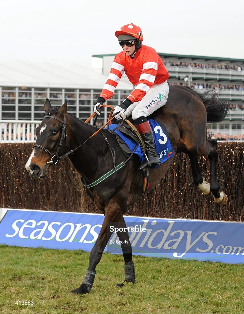 17 March 2010; Golden Silver, with Paul Townend up, during the Seasons Holidays Queen Mother Champion Chase. Cheltenham Racing Festival - Wednesday. Prestbury Park, Cheltenham, Gloucestershire, England. Photo by Sportsfile