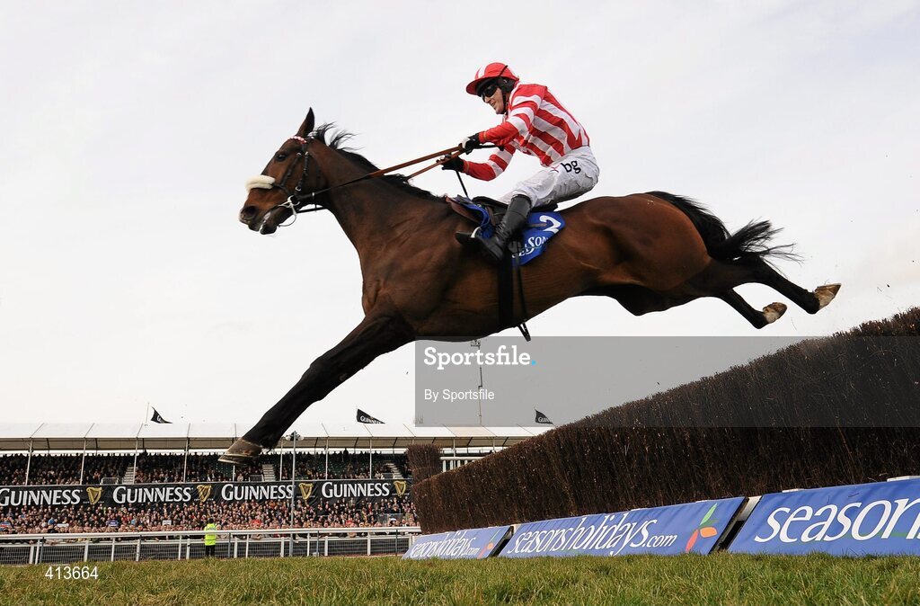 17 March 2010; Forpaddytheplasterer, with Tony McCoy up, during the Seasons Holidays Queen Mother Champion Chase. Cheltenham Racing Festival - Wednesday. Prestbury Park, Cheltenham, Gloucestershire, England. Photo by Sportsfile