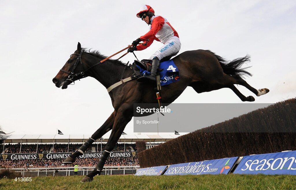 17 March 2010; Kalahari King, with Graham Lee up, during the Seasons Holidays Queen Mother Champion Chase. Cheltenham Racing Festival - Wednesday. Prestbury Park, Cheltenham, Gloucestershire, England. Photo by Sportsfile