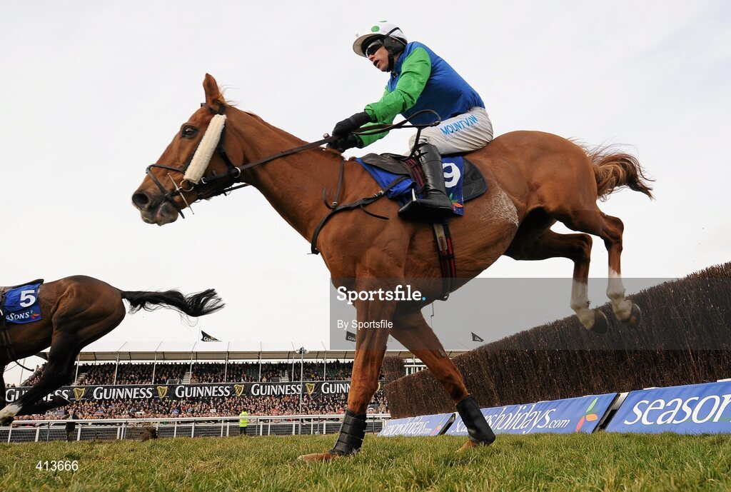 17 March 2010; Well Chief, with Timmy Murphy up, during the Seasons Holidays Queen Mother Champion Chase. Cheltenham Racing Festival - Wednesday. Prestbury Park, Cheltenham, Gloucestershire, England. Photo by Sportsfile