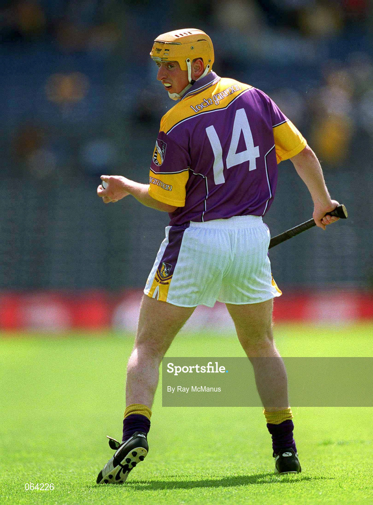 10 June 2001; Garry Laffan of Wexford during the Guinness Leinster Senior Hurling Championship Semi-Final match between Wexford and Laois at Croke Park in Dublin. Photo by Ray McManus/Sportsfile