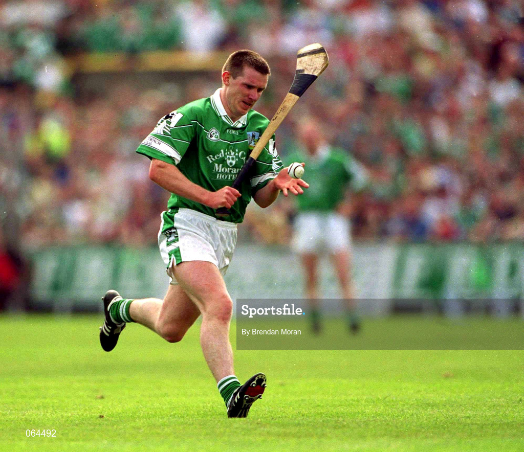 10 June 2001; Mark Foley of Limerick during the Guinness Munster Senior Hurling Championship Semi-Final match between Limerick and Waterford at Páirc Uí Chaoimh in Cork. Photo by Brendan Moran/Sportsfile