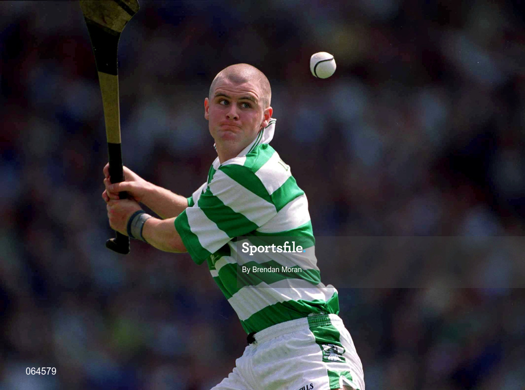10 June 2001; Timmy Houlihan of Limerick during the Guinness Munster Senior Hurling Championship Semi-Final match between Limerick and Waterford at Páirc Uí Chaoimh in Cork. Photo by Brendan Moran/Sportsfile