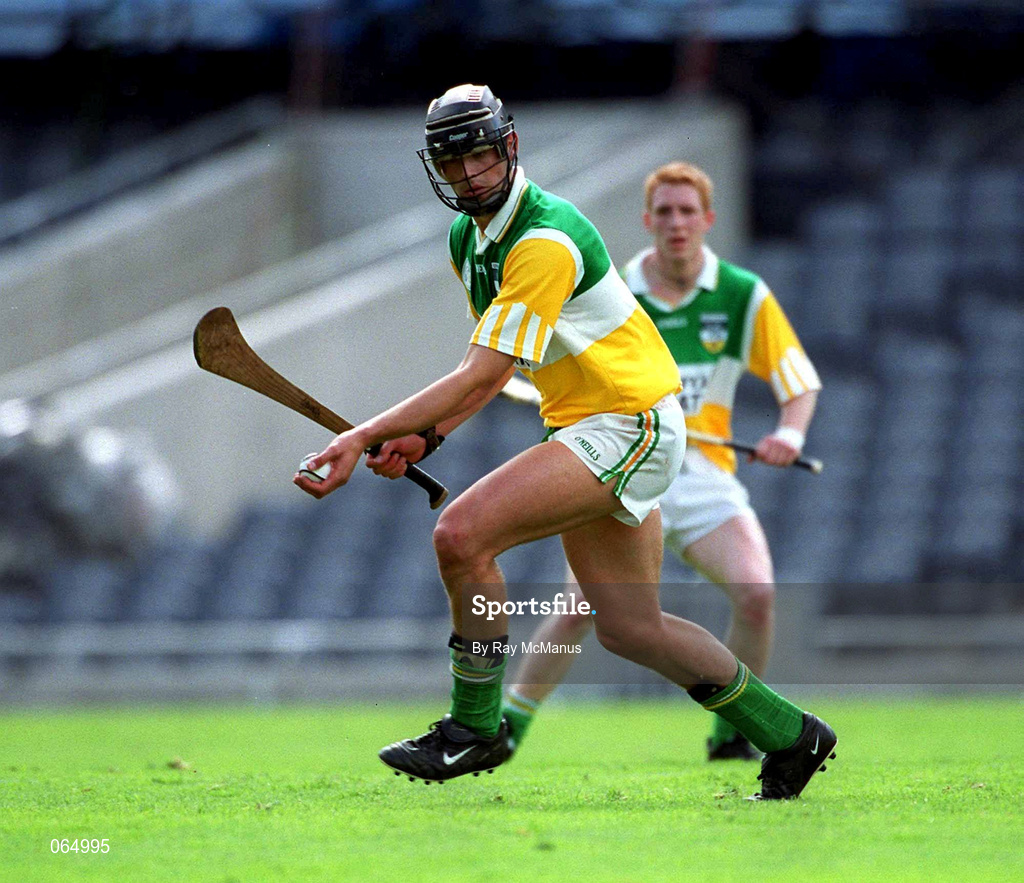 10 June 2001; Gary Hannify of Offaly during the Guinness Leinster Senior Hurling Championship Semi-Final match between Kilkenny and Offaly at Croke Park in Dublin. Photo by Ray McManus/Sportsfile