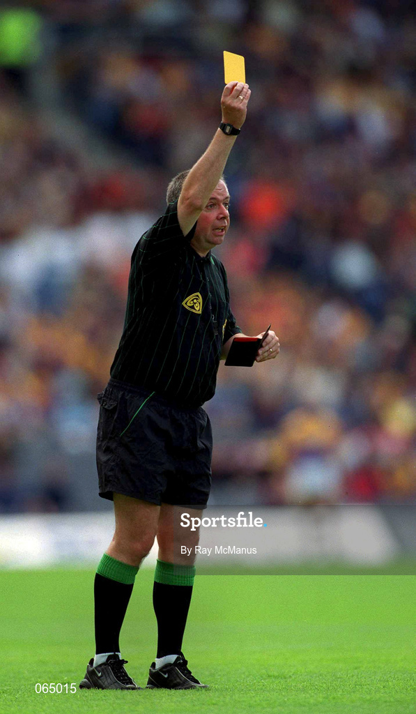 10 June 2001; Referee Aodan MacSuibhne during the Guinness Leinster Senior Hurling Championship Semi-Final match between Wexford and Laois at Croke Park in Dublin. Photo by Ray McManus/Sportsfile