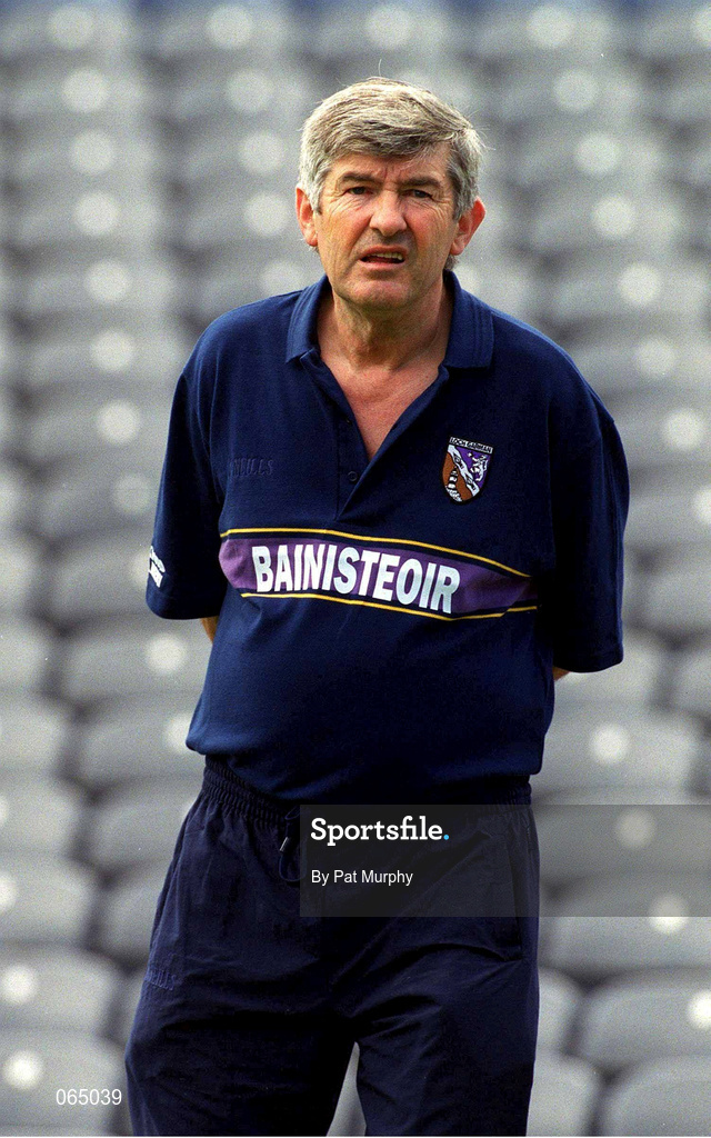 10 June 2001; Wexford manager Tony Dempsey during the Guinness Leinster Senior Hurling Championship Semi-Final match between Wexford and Laois at Croke Park in Dublin. Photo by Pat Murphy/Sportsfile