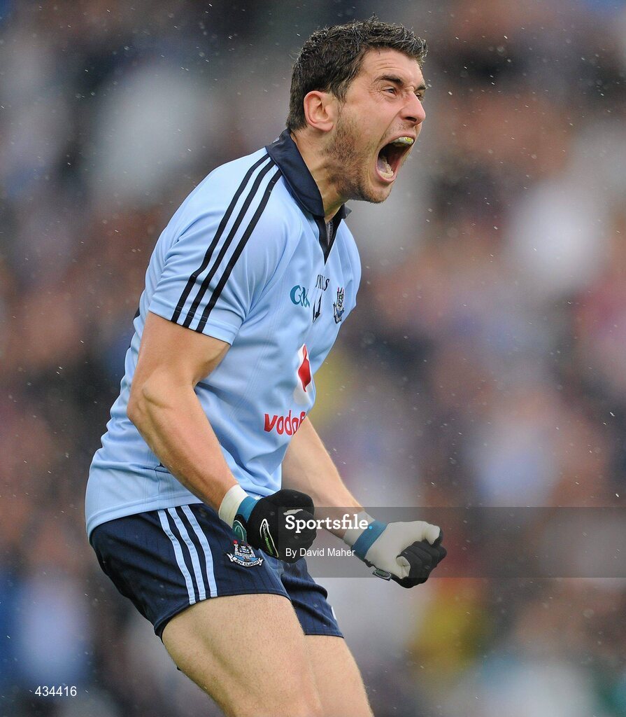 13 June 2010; Bernard Brogan, Dublin, celebrates after scoring his side's first goal. Leinster GAA Football Senior Championship Quarter-Final, Dublin v Wexford, Croke Park, Dublin. Picture credit: David Maher / SPORTSFILE