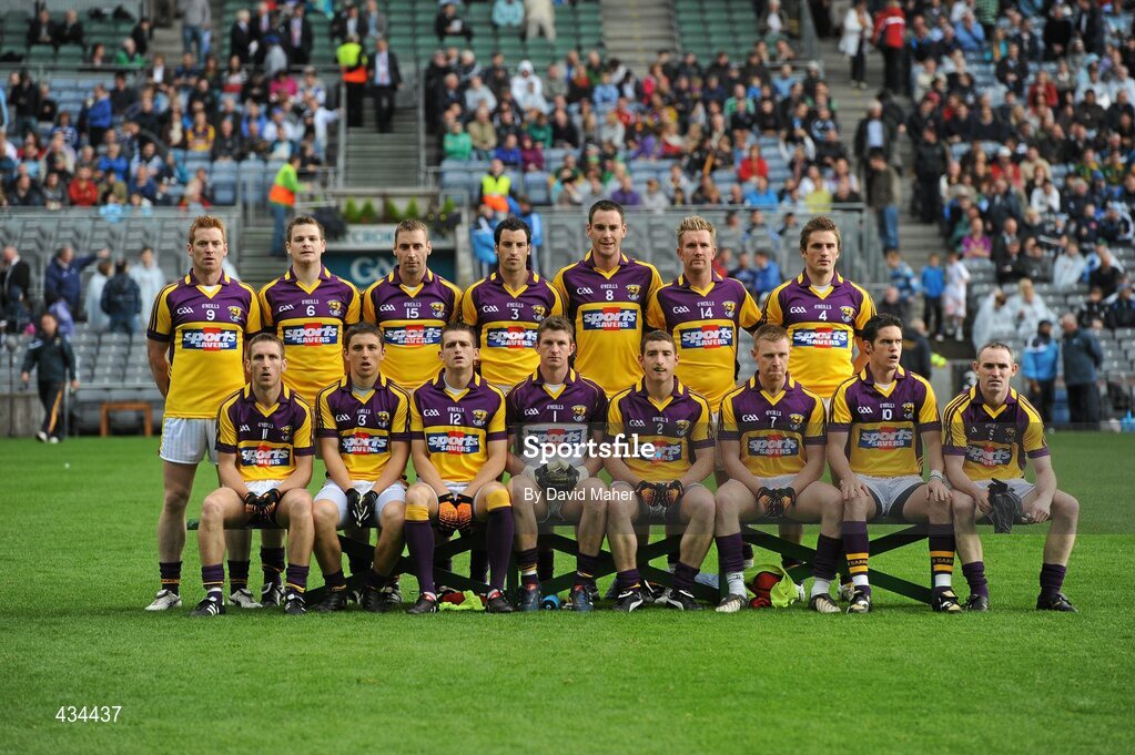 13 June 2010; The Wexford team. Leinster GAA Football Senior Championship Quarter-Final, Dublin v Wexford, Croke Park, Dublin. Picture credit: David Maher / SPORTSFILE