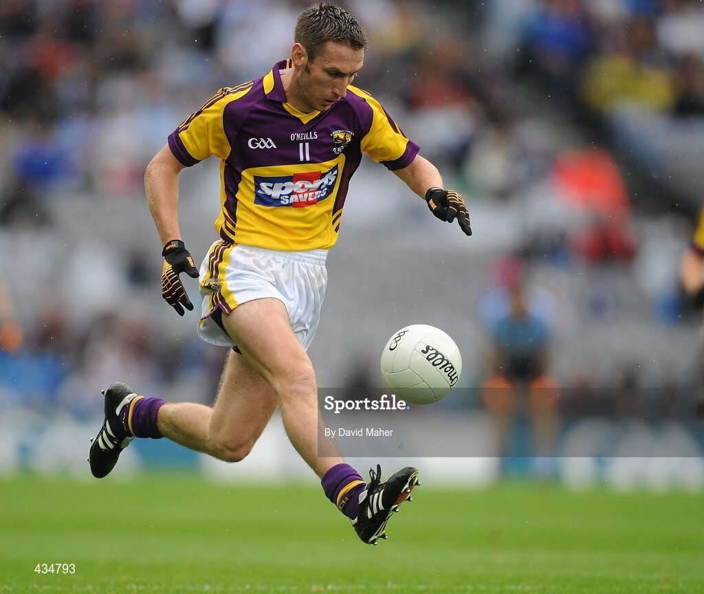 13 June 2010; Redmond Barry, Wexford. Leinster GAA Football Senior Championship Quarter-Final, Dublin v Wexford, Croke Park, Dublin. Picture credit: David Maher / SPORTSFILE