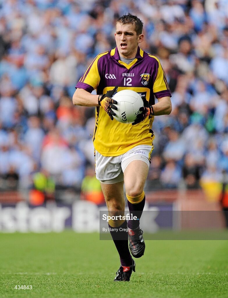 13 June 2010; Adrian Flynn, Wexford. Leinster GAA Football Senior Championship Quarter-Final, Dublin v Wexford, Croke Park, Dublin. Picture credit: Barry Cregg / SPORTSFILE