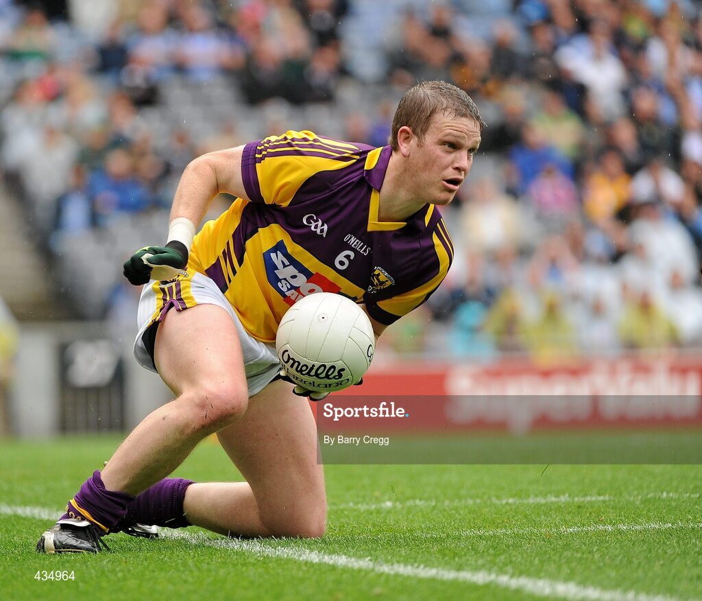 13 June 2010; David Murphy, Wexford. Leinster GAA Football Senior Championship Quarter-Final, Dublin v Wexford, Croke Park, Dublin. Picture credit: Barry Cregg / SPORTSFILE