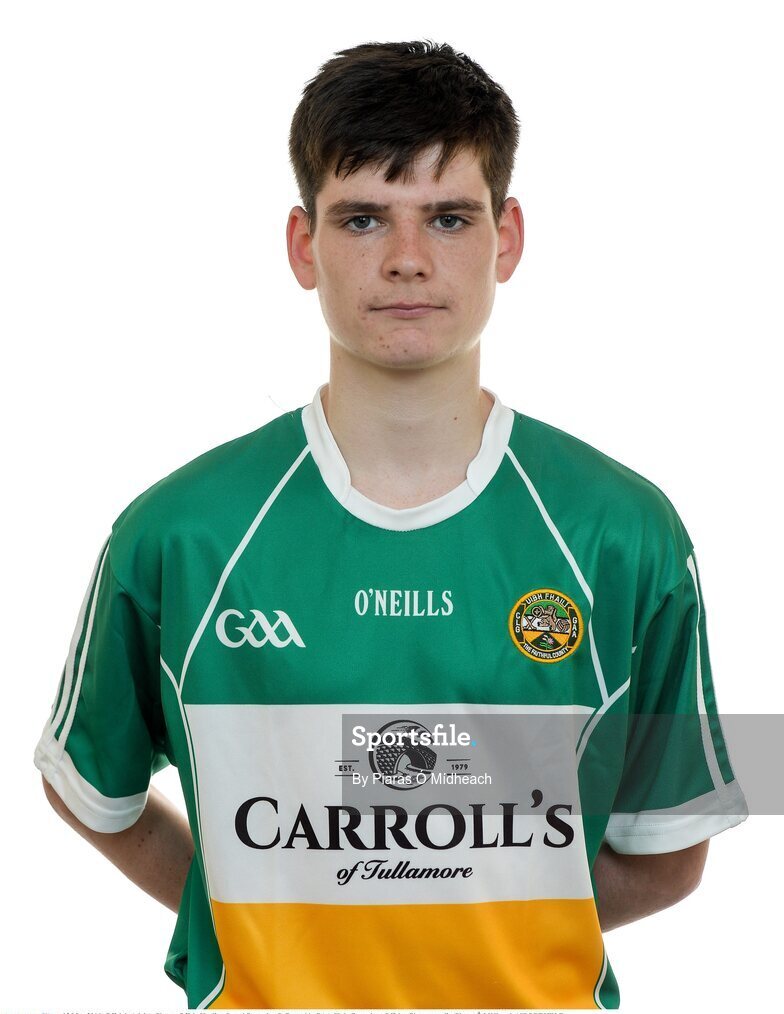 15 May 2016; Offaly's Adrian Cleary. Offaly Hurling Squad Portraits. St Rynagh's GAA Club, Banagher, Offaly.  Picture credit: Piaras Ó Mídheach / SPORTSFILE