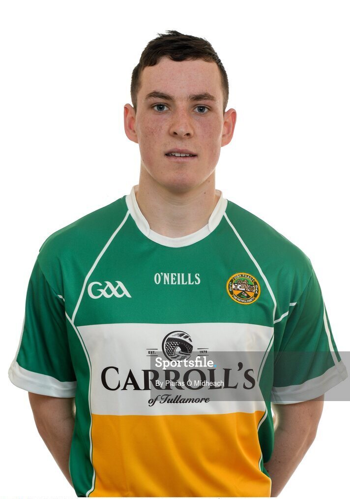 15 May 2016; Offaly's Paddy Murphy. Offaly Hurling Squad Portraits. St Rynagh's GAA Club, Banagher, Offaly.  Picture credit: Piaras Ó Mídheach / SPORTSFILE