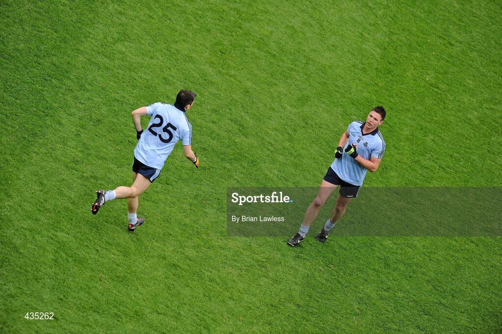 13 June 2010; Dublin's Éamon Fennell leaves the field having been substituted for team-mate Alan Brogan, left. Leinster GAA Football Senior Championship Quarter-Final, Dublin v Wexford, Croke Park, Dublin. Picture credit: Brian Lawless / SPORTSFILE