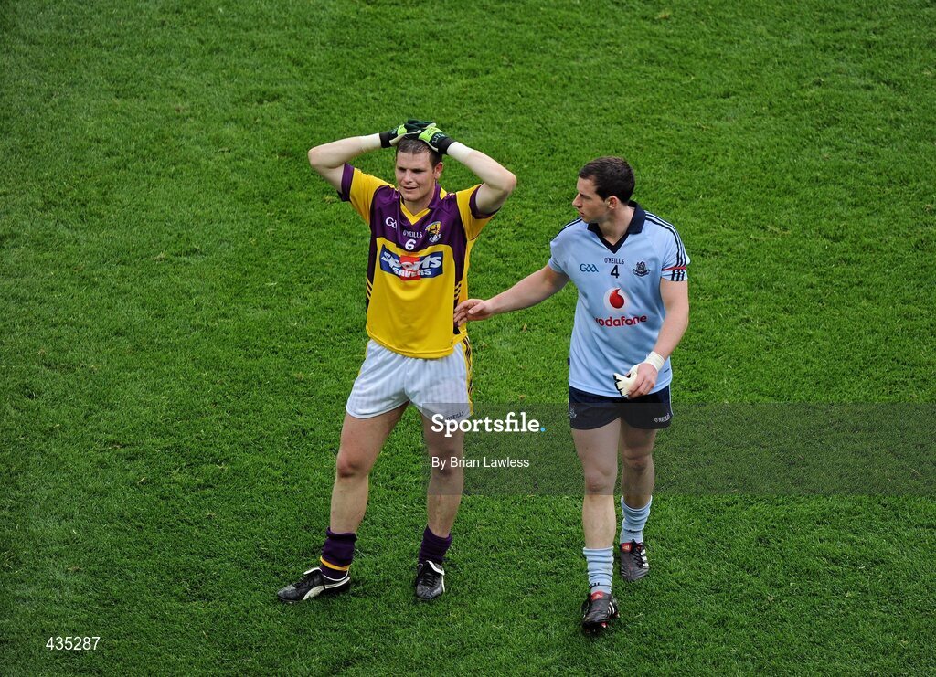 13 June 2010; Dublin's Philip McMahon consoles Wexford's David Murphy. Leinster GAA Football Senior Championship Quarter-Final, Dublin v Wexford, Croke Park, Dublin. Picture credit: Brian Lawless / SPORTSFILE