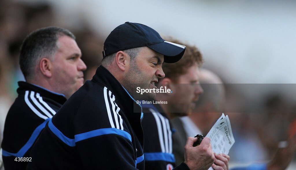 23 June 2010; Dublin senior hurling manager Anthony Daly celebrates a late point. Bord Gais Energy Leinster GAA Hurling Under 21 Championship Semi-Final, Kilkenny v Dublin, Nowlan Park, Kilkenny. Picture credit: Brian Lawless / SPORTSFILE