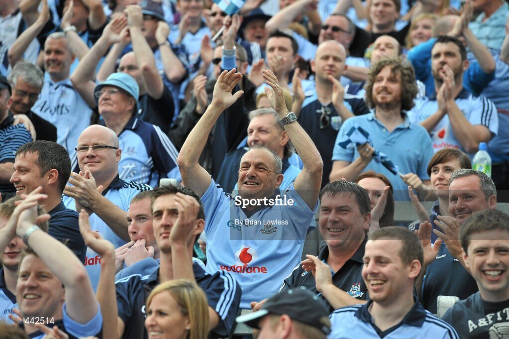 17 July 2010; Dublin fans celebrate on Hill 16 after a score. GAA Football All-Ireland Senior Championship Qualifier Round 3, Dublin v Armagh, Croke Park, Dublin. Picture credit: Brian Lawless / SPORTSFILE
