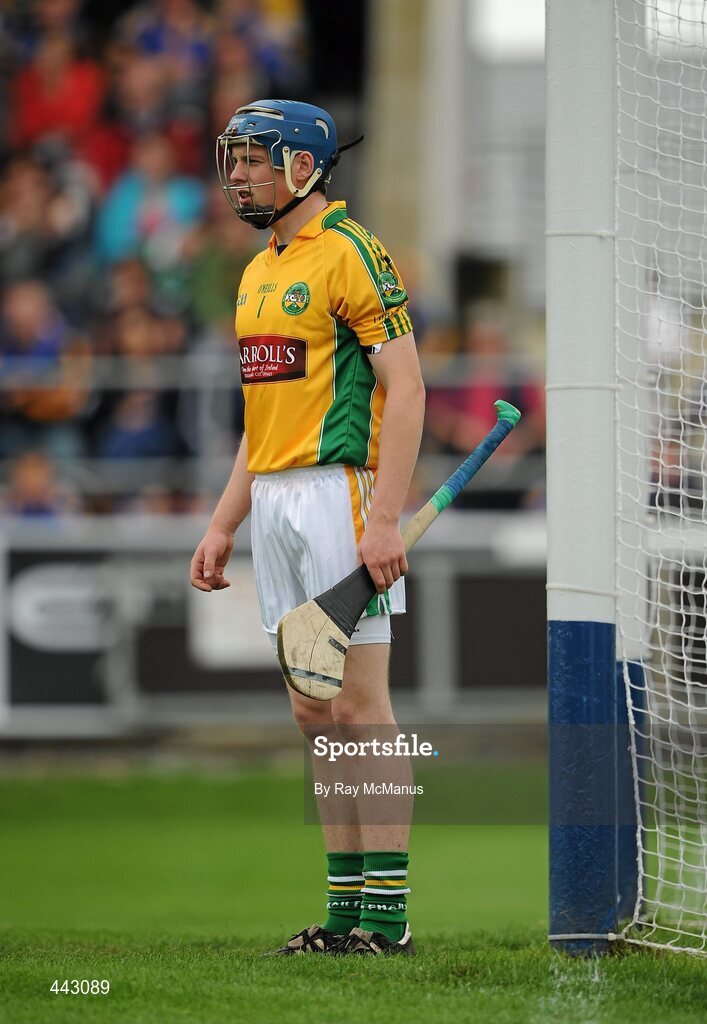 18 July 2010; James Dempsey, Offaly. GAA Hurling All-Ireland Senior Championship Phase 3, Tipperary v Offaly, O'Moore Park, Portlaoise, Co. Laois. Picture credit: Ray McManus / SPORTSFILE