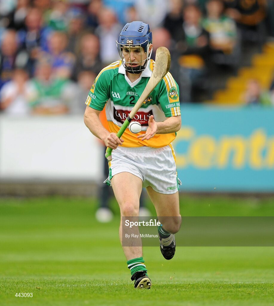 18 July 2010; David Franks, Offaly. GAA Hurling All-Ireland Senior Championship Phase 3, Tipperary v Offaly, O'Moore Park, Portlaoise, Co. Laois. Picture credit: Ray McManus / SPORTSFILE