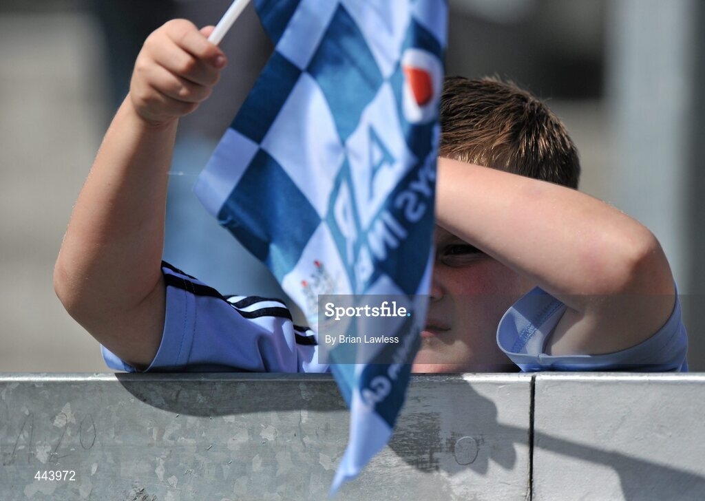 17 July 2010; A Dublin hurling fan watches the match. GAA Hurling All-Ireland Senior Championship Phase 3, Dublin v Antrim, Croke Park, Dublin. Picture credit: Brian Lawless / SPORTSFILE