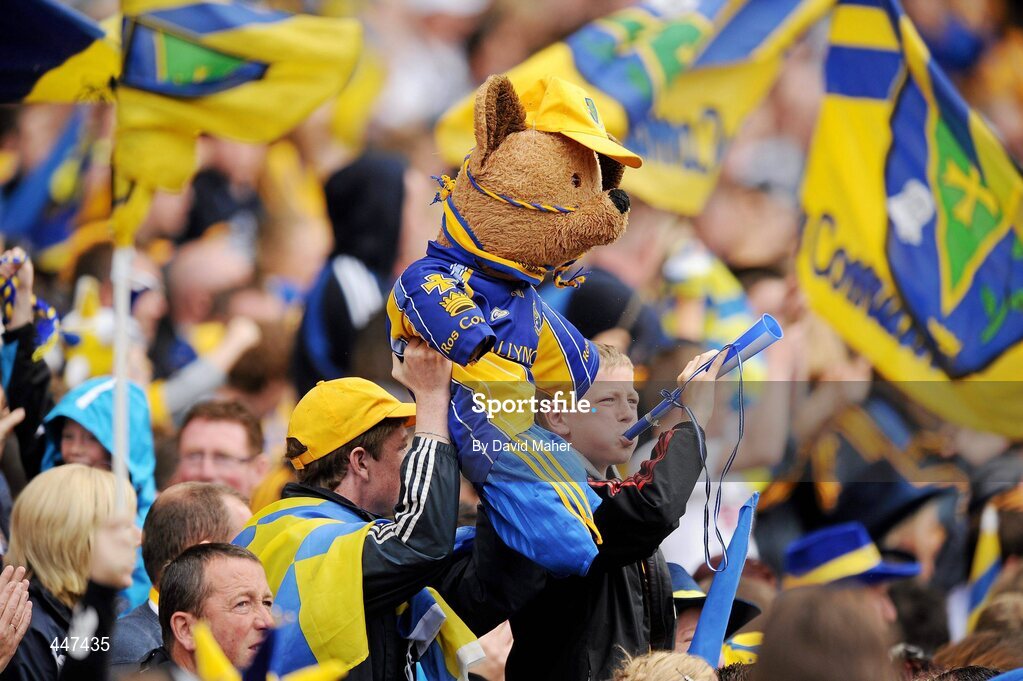 1 August 2010;  Roscommon supporters cheer on their team. GAA Football All-Ireland Senior Championship Quarter-Final, Roscommon v Cork, Croke Park, Dublin. Picture credit: David Maher / SPORTSFILE