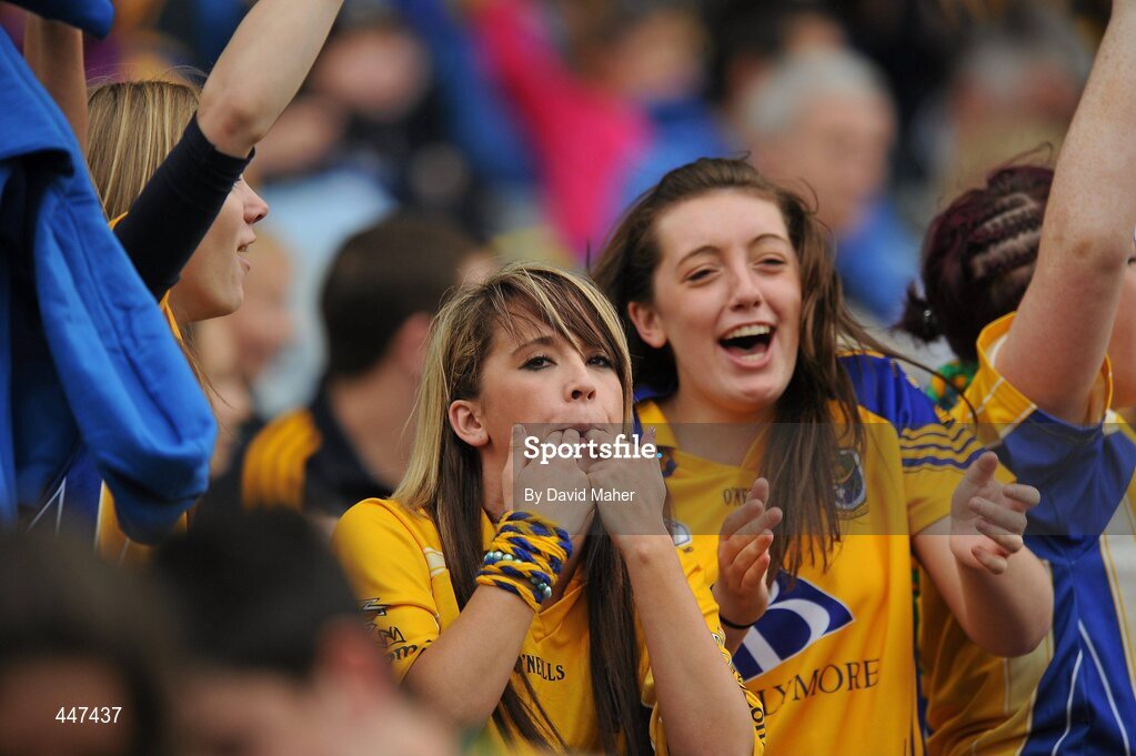 1 August 2010; Roscommon supporters cheer on their team. GAA Football All-Ireland Senior Championship Quarter-Final, Roscommon v Cork, Croke Park, Dublin. Picture credit: David Maher / SPORTSFILE