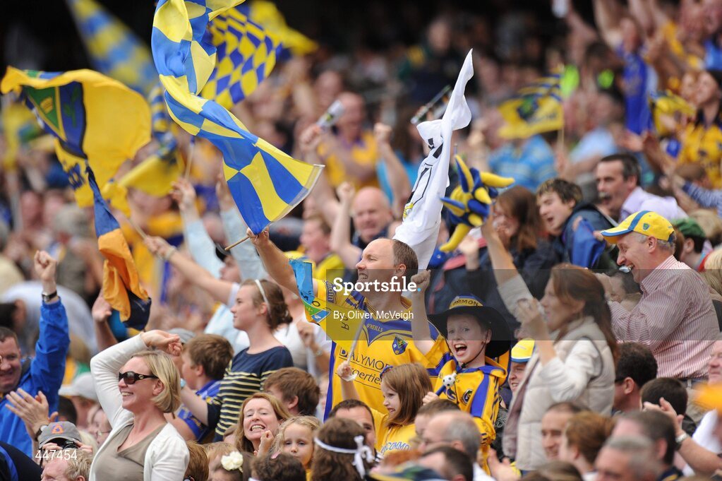 1 August 2010; Roscommon fans cheer after a point is scored. GAA Football All-Ireland Senior Championship Quarter-Final, Roscommon v Cork, Croke Park, Dublin. Picture credit: Oliver McVeigh / SPORTSFILE