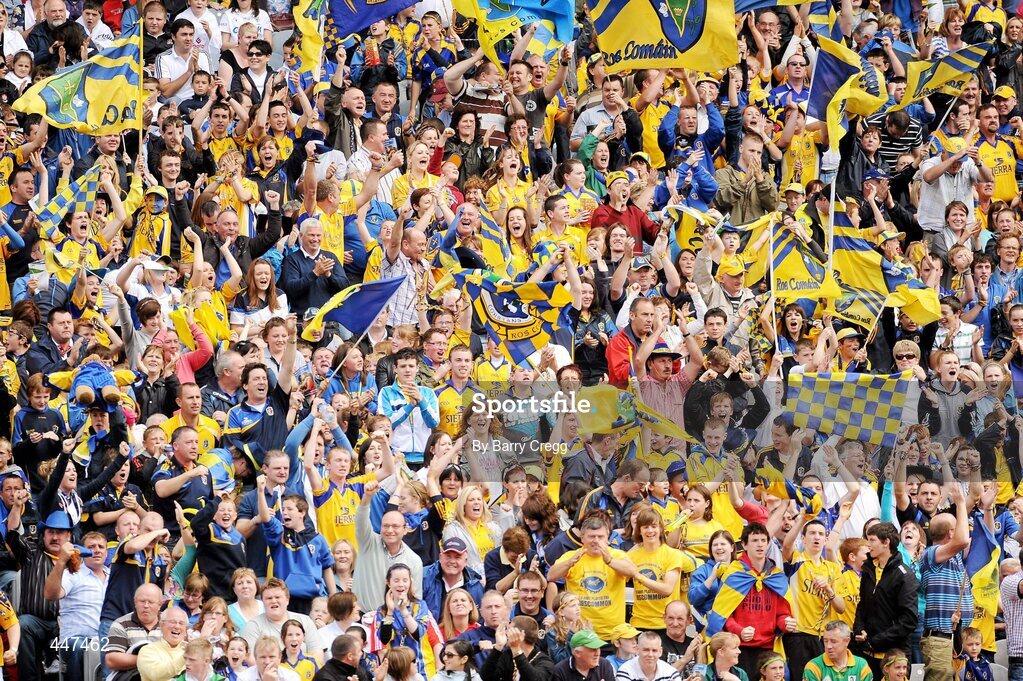 1 August 2010; Roscommon supporters cheer after a score. Supporters at the GAA Football All-Ireland Senior Championship Quarter-Finals, Croke Park, Dublin. Picture credit: Barry Cregg / SPORTSFILE