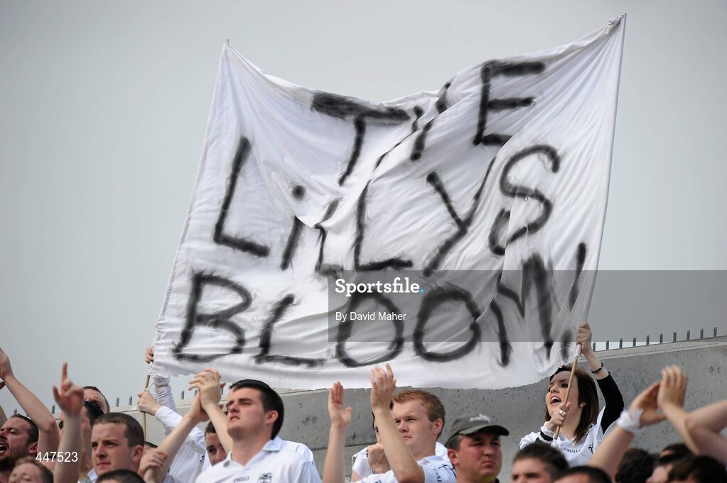 1 August 2010; Kildare supporters celebrate at the end of the game. GAA Football All-Ireland Senior Championship Quarter-Final, Meath v Kildare, Croke Park, Dublin. Picture credit: David Maher / SPORTSFILE