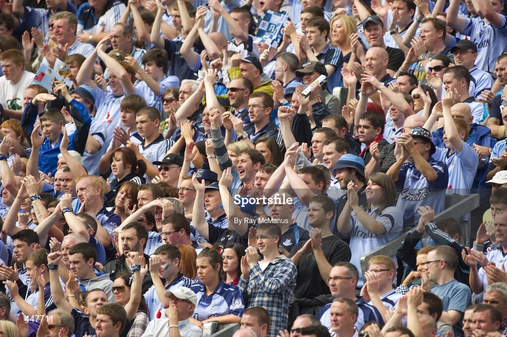 31 July 2010; Dublin supporters on Hill 16. GAA Football All-Ireland Senior Championship Quarter-Final, Tyrone v Dublin, Croke Park, Dublin. Picture credit: Ray McManus / SPORTSFILE