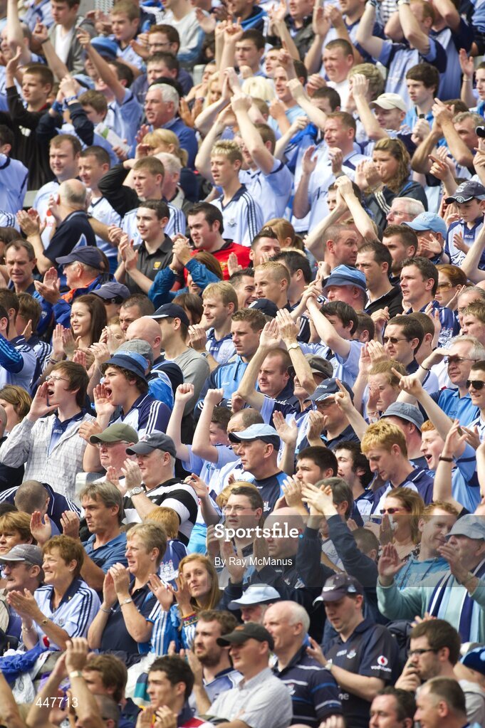 31 July 2010; Dublin supporters on Hill 16. GAA Football All-Ireland Senior Championship Quarter-Final, Tyrone v Dublin, Croke Park, Dublin. Picture credit: Ray McManus / SPORTSFILE