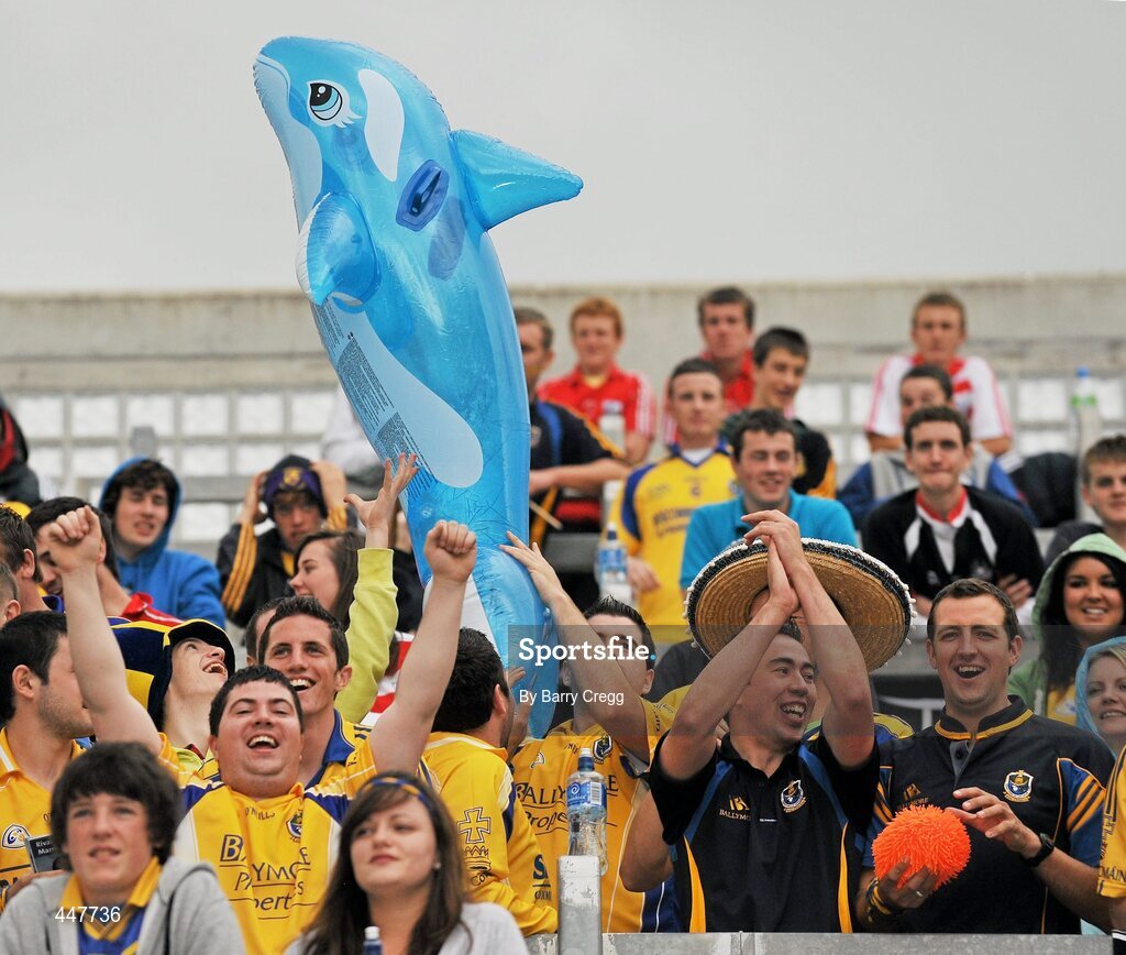 1 August 2010; Roscommon fans show their support. GAA Football All-Ireland Senior Championship Quarter-Final, Roscommon v Cork, Croke Park, Dublin. Picture credit: Barry Cregg / SPORTSFILE