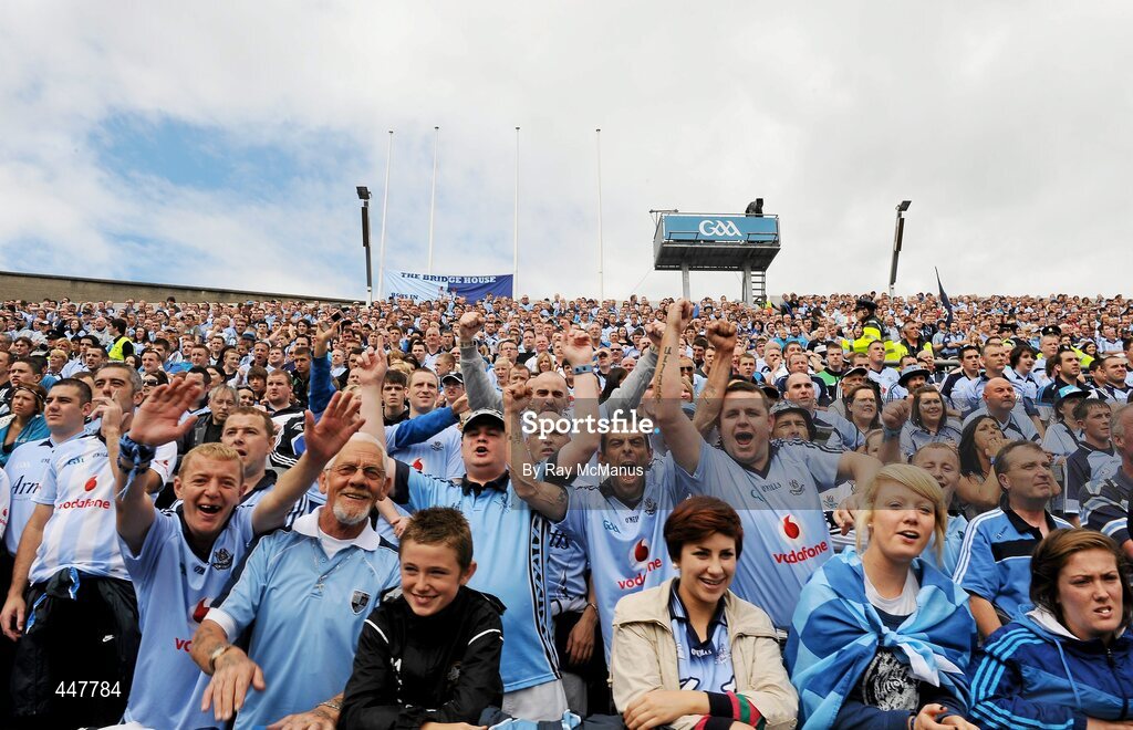 31 July 2010; Dublin supporters on Hill 16. GAA Football All-Ireland Senior Championship Quarter-Final, Tyrone v Dublin, Croke Park, Dublin. Picture credit: Ray McManus / SPORTSFILE