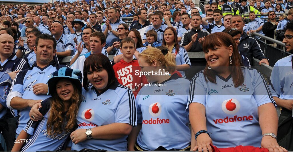 31 July 2010; Dublin supporters on Hill 16. GAA Football All-Ireland Senior Championship Quarter-Final, Tyrone v Dublin, Croke Park, Dublin. Picture credit: Ray McManus / SPORTSFILE