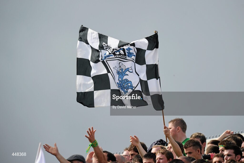 1 August 2010; A general view of a Kildare supporter waving a flag during the game. GAA Football All-Ireland Senior Championship Quarter-Final, Meath v Kildare, Croke Park, Dublin. Picture credit: David Maher / SPORTSFILE