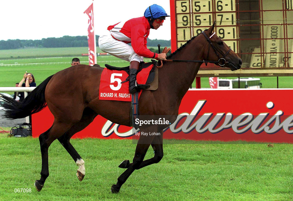 1 July 2001; Dane Hurst, with George Duffield up, canters to the start prior to the Richard H. Faught Memorial Stakes at the Curragh Racecourse in Kildare. Photo by Ray Lohan/Sportsfile