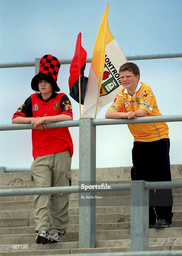 1 July 2001; A Down supporter, left, and an supporter stand together on the terraces during the Guinness Ulster Senior Hurling Championship Semi-Final match between Antrim and Down at Casement Park in Belfast. Photo by Aoife Rice/Sportsfile