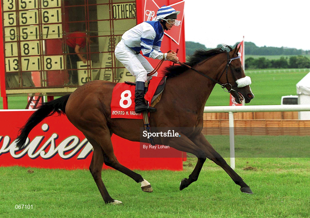 1 July 2001; Ellen's Lad, with Mr Philip Robinson up, canters to the start prior to the Richard H. Faught Memorial Stakes at the Curragh Racecourse in Kildare. Photo by Ray Lohan/Sportsfile