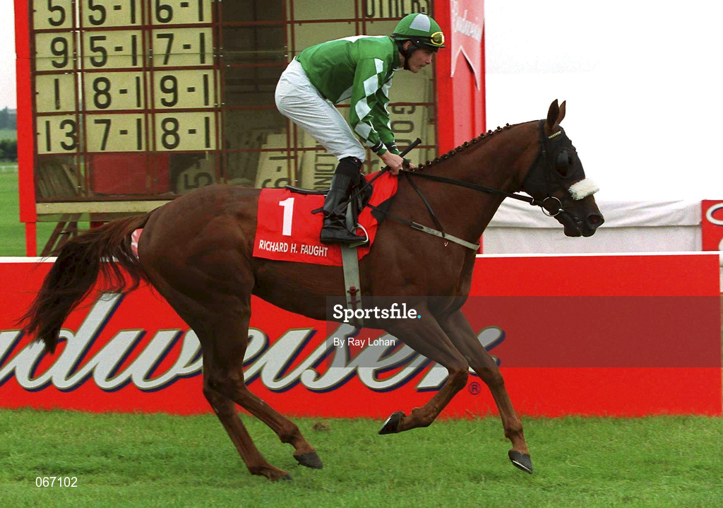 1 July 2001; Final Exam, with Pat Smullen up, canters to the start prior to the Richard H. Faught Memorial Stakes at the Curragh Racecourse in Kildare. Photo by Ray Lohan/Sportsfile