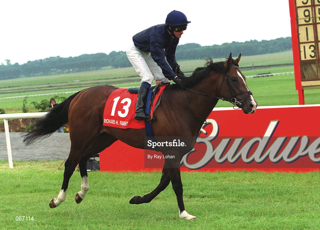 1 July 2001; Ishiguru, with Mick Kinane up, canters to the start prior to the Richard H. Faught Memorial Stakes at the Curragh Racecourse in Kildare. Photo by Ray Lohan/Sportsfile